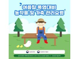 농촌진흥청, 비 온 뒤 무더위 계속…농작물·가축 피해 예방 관리 당부 기사 이미지